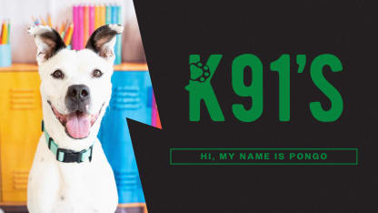 Pongo's adoption fees are covered