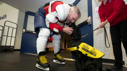 Ovi the Service Dog