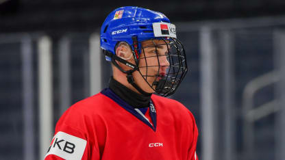 Team USA v Team Czechia