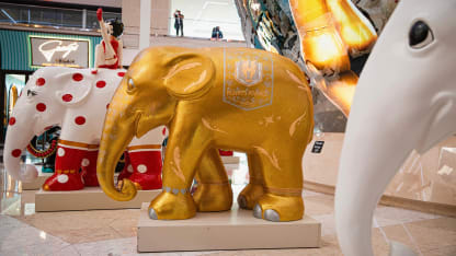 Elephant-Parade_zk_2022-05-25_012