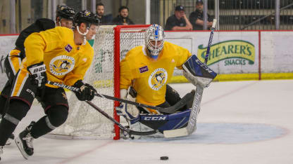 alex d'orio development camp