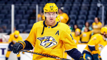 Minnesota Wild vs. Nashville Predators: Nov. 15, 2022