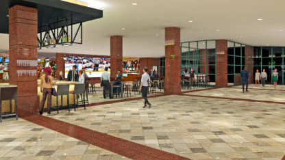 Anaheim-Ducks-entry-Cam1-01