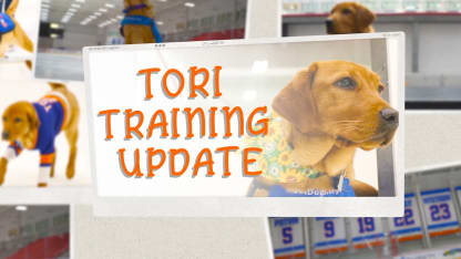 Tori Training Update: Walking