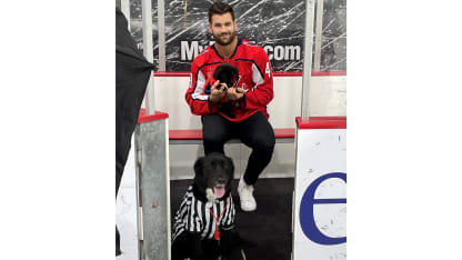 The star of the Capitals Canine Calendar photoshoot was actually a cat