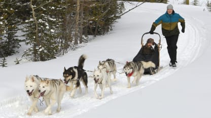 Dog sledding2