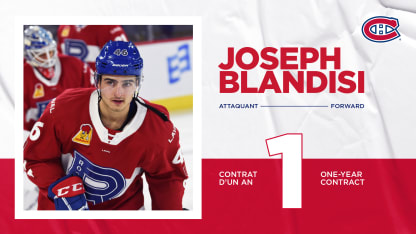 blandisi-16x9-v2