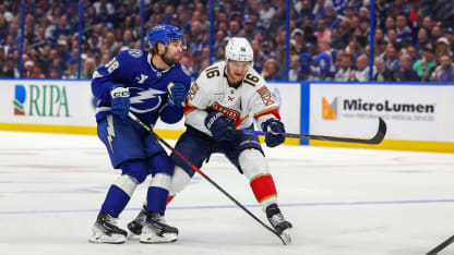 Panthers hakee niskalenkkiä Lightningista
