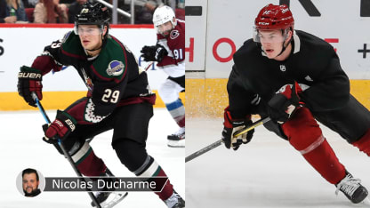 Hayton-Soderstrom-badge-Ducharme