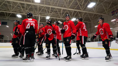 scrimmage-june27-NHL