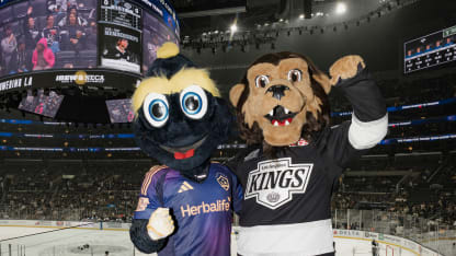 Photo 4 Galaxy -Kings