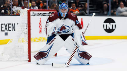 Avalanche goalie Pavel Francouz out for season