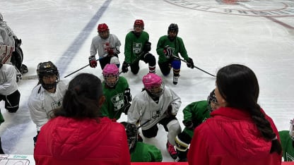 Color of Hockey: Dallas Stars to host Mexican teams for International Silver Stick