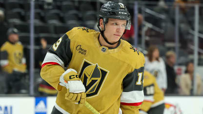 Vegas prospect Jakub Demek hopes to be future leader with Golden Knights