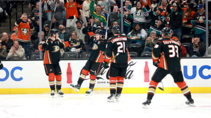 32 tímov za 32 dní Anaheim Ducks 