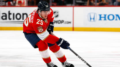 Florida Panthers top prospects for 2024-25 season 32 in 32