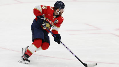 Florida Panthers fantasy projections for 2024-25 season 32 in 32