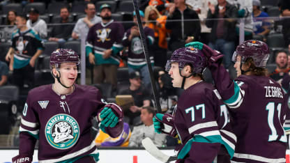 Preview před sezonou Anaheim Ducks