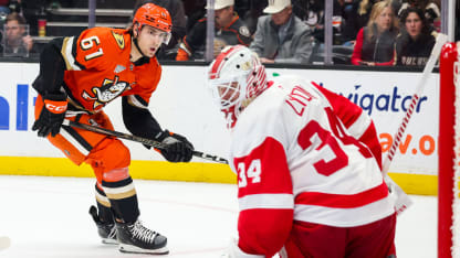 Detroit Red Wings Anaheim Ducks game recap November 15