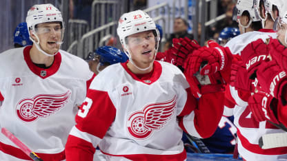 Detroit Red Wings New York Islanders game recap November 25