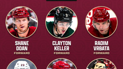 Arizona Coyotes Quarter-Century teams