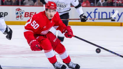 Dominik Shine cherishes NHL debut for Red Wings at age 31