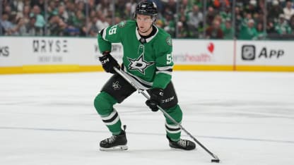 Daily fantasy hockey picks projections props 2024-25 NHL season