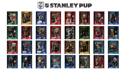 stanley-pup-graphic