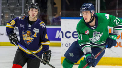 Top 10 defensemen in 2025 NHL Draft