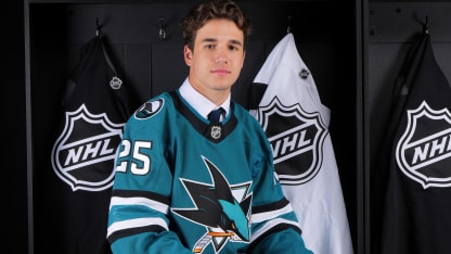 nhl fantasy hockey keeper dynasty league rankings players prospects