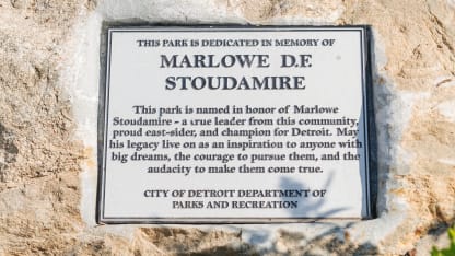 Stoudamire 3