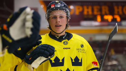 K nádejám budúceho draftu okrem McKennu patrí aj Stenberg