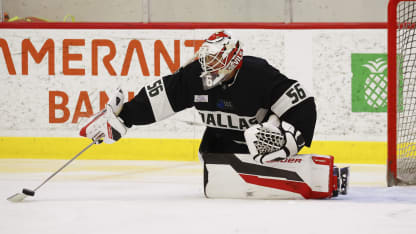 Jeremy Brodeur 3ICE