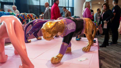 Panther in HFC jersey