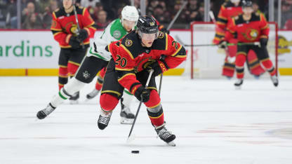 Dallas Stars Ottawa Senators game recap November 11, 2025