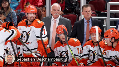 Ducks Quenneville badge Seb