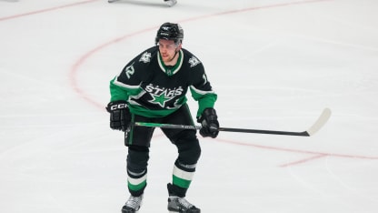 DAL Radek Faksa