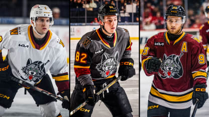 Three Chicago Wolves Named AHL All-Stars