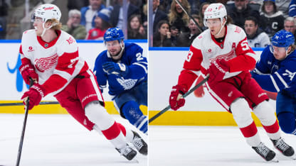 Edvinsson, Seider framstående backpar för Red Wings