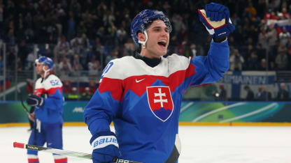 2026 Olympics hockey On Tap news and notes February 14