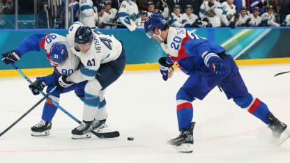 finland-slovakia-ontap