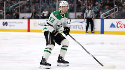 Fantasy hockey top 200 player rankings