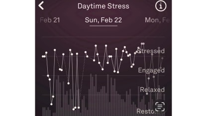 Bill Guerin screen shot of Ora ring stress levels