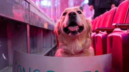 Ruby Suzuki at the Habs game