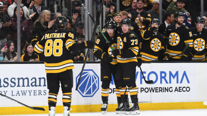 Boston Bruins 2026 Stanley Cup Playoff roster at a glace
