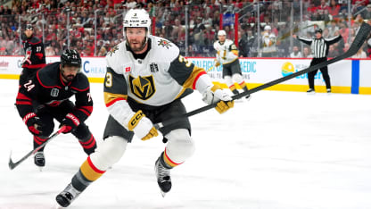 mcnabb-injury-game-2