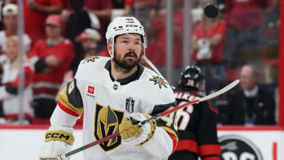 vgk hertl 6 11 26