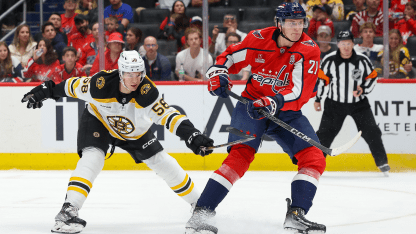 shavings bruins