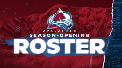 Avalanche Reduce Roster by Nine