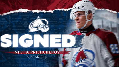 Avalanche Sign Prishchepov